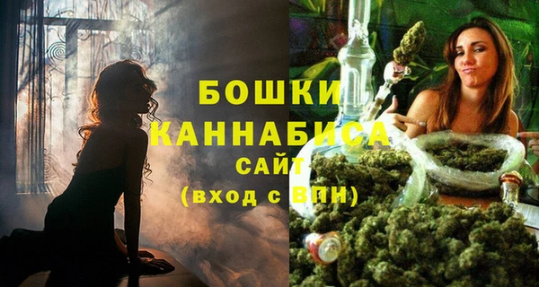 мдпв Снежногорск