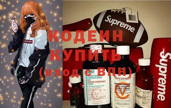 шишки Снежинск