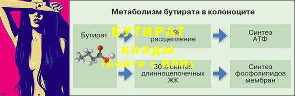 ПСИЛОЦИБИНОВЫЕ ГРИБЫ Сосновый Бор