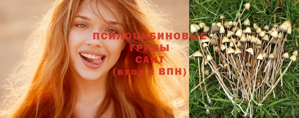 ПСИЛОЦИБИНОВЫЕ ГРИБЫ Сосновый Бор