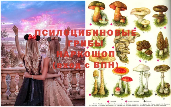 ПСИЛОЦИБИНОВЫЕ ГРИБЫ Сосновый Бор