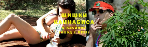 ПСИЛОЦИБИНОВЫЕ ГРИБЫ Сосновый Бор