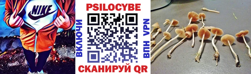 Галлюциногенные грибы мухоморы  хочу   Одинцово 